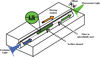 Graphical abstract: Compact fluorescence detection using in-fiber microchannels—its potential for lab-on-a-chip applications