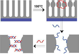 Graphical abstract: Hydrothermally shrunk alumina nanopores and their application to DNA sensing