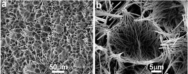 Graphical abstract: Hydrothermal growth of large-scale micropatterned arrays of ultralong ZnO nanowires and nanobelts on zinc substrate