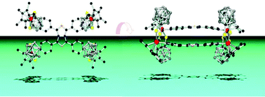 Graphical abstract: Synthesis and characterization of binuclear half-sandwich metal (Co, Ir and Ru) complexes containing ancillary ortho-carborane-1,2-dithiolato ligands