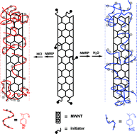 Graphical abstract: Water soluble multi-walled carbon nanotubes prepared via nitroxide-mediated radical polymerization