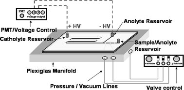Graphical abstract: On-chip pumping for pressure mobilization of the focused zones following microchip isoelectric focusing