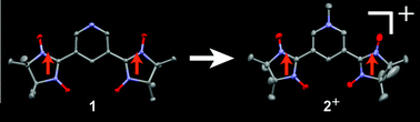 Graphical abstract: Pyridine-substituted nitronyl nitroxide biradicals: a triplet (S = 1) ground state lasting out N-methylation