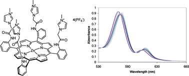 Graphical abstract: Sulfate selective anion recognition by a novel tetra-imidazolium zinc metalloporphyrin receptor