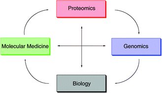 Graphical abstract: The future of proteomic analysis in biological systems and molecular medicine