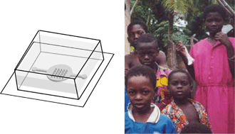 Graphical abstract: Lab-on-a-chip devices for global health: Past studies and future opportunities