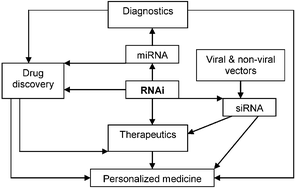 Graphical abstract: Commercial potential of RNAi