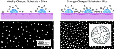 Graphical abstract: Nano-patterning of solid substrates by adsorbed dendrimers