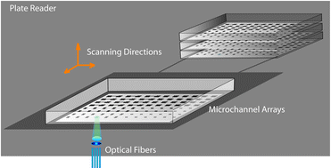 Graphical abstract: A plate reader-compatible microchannel array for cell biology assays