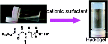 Graphical abstract: Cationic surfactant-triggered formation of a supramolecular hydrogel by a negatively charged l-valine derivative