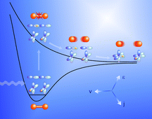 Graphical abstract: Atomic polarization in the photodissociation of diatomic molecules