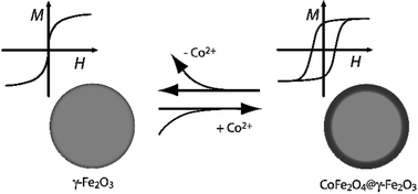 Graphical abstract: Reversible post-synthesis tuning of the superparamagnetic blocking temperature of γ-Fe2O3 nanoparticles by adsorption and desorption of Co(ii) ions