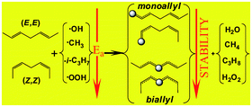 Graphical abstract: Allylic hydrogen abstraction II. H-abstraction from 1,4 type polyalkenes as a model for free radical trapping by polyunsaturated fatty acids (PUFAs)