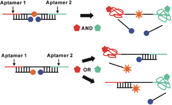 Graphical abstract: Photonic boolean logic gates based on DNA aptamers