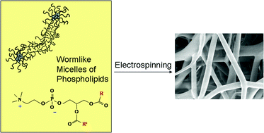 Graphical abstract: Submicron functional fibrous scaffolds based on electrospun phospholipids