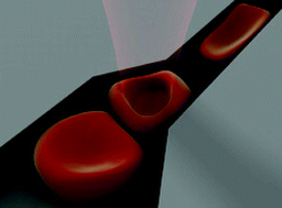 Graphical abstract: On-chip erythrocyte deformability test under optical pressure