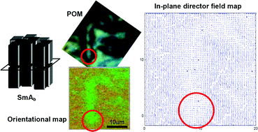 Graphical abstract: Molecular ordering in a biaxial smectic-A phase studied by scanning transmission X-ray microscopy (STXM)