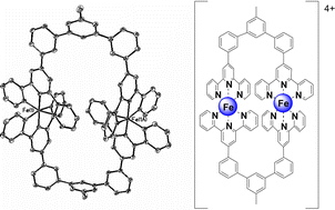 Graphical abstract: Design, characterization, and X-ray structure of an interlocked dinuclear chair-like metallomacrocycle: [FeII2(3,5-bis(2,2′:6′,2″-terpyridin-4′-phen-3-yl)toluene)2][4PF6−]