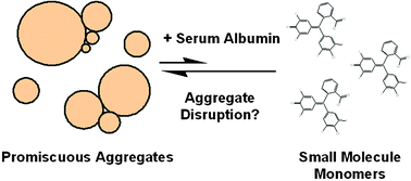 Graphical abstract: Stability and equilibria of promiscuous aggregates in high protein milieus