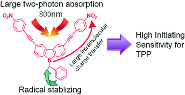Graphical abstract: Design of high efficiency for two-photon polymerization initiator: combination of radical stabilization and large two-photon cross-section achieved by N-benzyl 3,6-bis(phenylethynyl)carbazole derivatives
