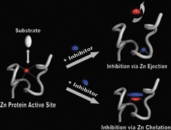 Graphical abstract: Zinc metalloproteins as medicinal targets