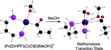 Graphical abstract: A computational study of the methanolysis of palladium–acyl bonds