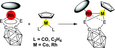 Graphical abstract: A facile and general approach to the Rh–M (M = Co, Rh) single bond supported by ortho-carborane-1,2-dichalcogenolato ligands