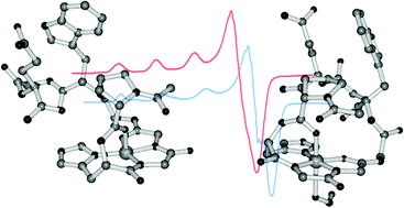 Graphical abstract: Nitrogen oxide interaction with copper complexes formed by small peptides belonging to the prion protein octa-repeat region