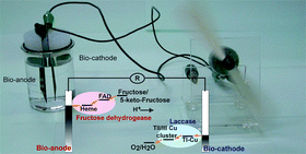 Graphical abstract: Fructose/dioxygen biofuel cell based on direct electron transfer-type bioelectrocatalysis