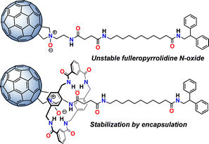 Graphical abstract: Stabilization of fulleropyrrolidine N-oxides through intrarotaxane hydrogen bonding