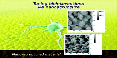 Graphical abstract: Conducting polymers – bridging the bionic interface