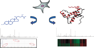 Graphical abstract: Mass spectrometry: from proteomics to metabolomics and lipidomics