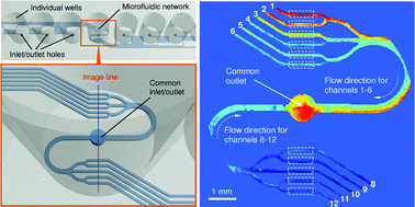 Graphical abstract: A 96-well microplate incorporating a replica molded microfluidic network integrated with photonic crystal biosensors for high throughput kinetic biomolecular interaction analysis