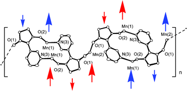 Graphical abstract: Preparation, structure, and magnetic interaction of a Mn(hfac)2-bridged [2-(3-pyridyl)(nitronyl nitroxide)–Mn(hfac)2]2 chain complex