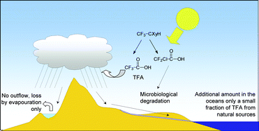 Graphical abstract: Changes in tropospheric composition and air quality due to stratospheric ozone depletion and climate change