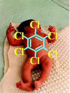 Graphical abstract: In utero and post-natal accumulation of organochlorine compounds in children under different environmental conditions