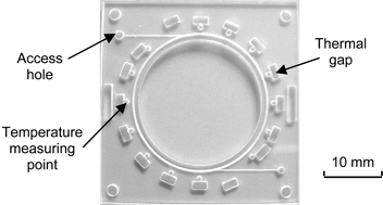 Graphical abstract: A circular ferrofluid driven microchip for rapid polymerase chain reaction