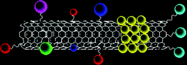 Graphical abstract: Decorating carbon nanotubes with metal or semiconductor nanoparticles