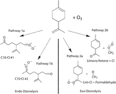 Graphical abstract: Secondary organic aerosol from limona ketone: insights into terpene ozonolysis via synthesis of key intermediates