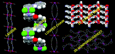 Graphical abstract: Supramolecular structural diversities in the metal–organic frameworks derived from pyridylamide ligands: studying the effects of ligating topologies, hydrogen bonding backbone of the ligands and counter anions