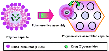 Graphical abstract: One-pot synthetic route to polymer–silica assembled capsule encased with nonionic drug molecule