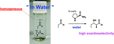 Graphical abstract: Small organic molecule in enantioselective, direct aldol reaction “in water”