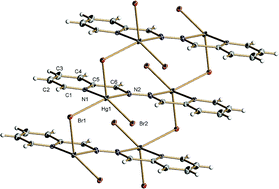 Graphical abstract: Mercury(ii) coordination polymers generated from 1,4-bis(2 or 3 or 4-pyridyl)-2,3-diaza-1,3-butadiene ligands