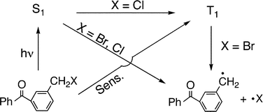 Graphical abstract: Photoinduced ω-bond dissociation of m-halomethylbenzophenones studied by laser photolysis techniques and DFT calculations. Substituted position effects