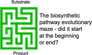 Graphical abstract: Evolution of enzymes and pathways for the biosynthesis of cofactors