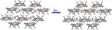 Graphical abstract: Single-crystal-to-single-crystal E → Z and Z → E isomerizations of 3-chloroacrylic acid within the nanocavities of a supramolecular framework