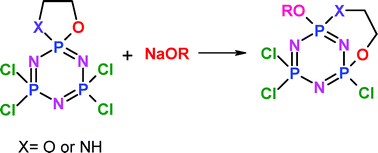 Graphical abstract: A spiro to ansa rearrangement in cyclotriphosphazene derivatives