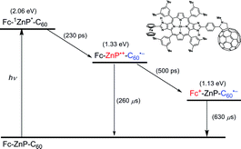 Graphical abstract: Photoinduced electron transfer in a β,β′-pyrrolic fused ferrocene–(zinc porphyrin)–fullerene