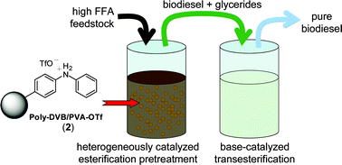Graphical abstract: Catalytic synthesis of biodiesel from high free fatty acid-containing feedstocks