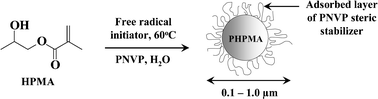 Graphical abstract: Synthesis of poly(2-hydroxypropyl methacrylate) latex particles via aqueous dispersion polymerization